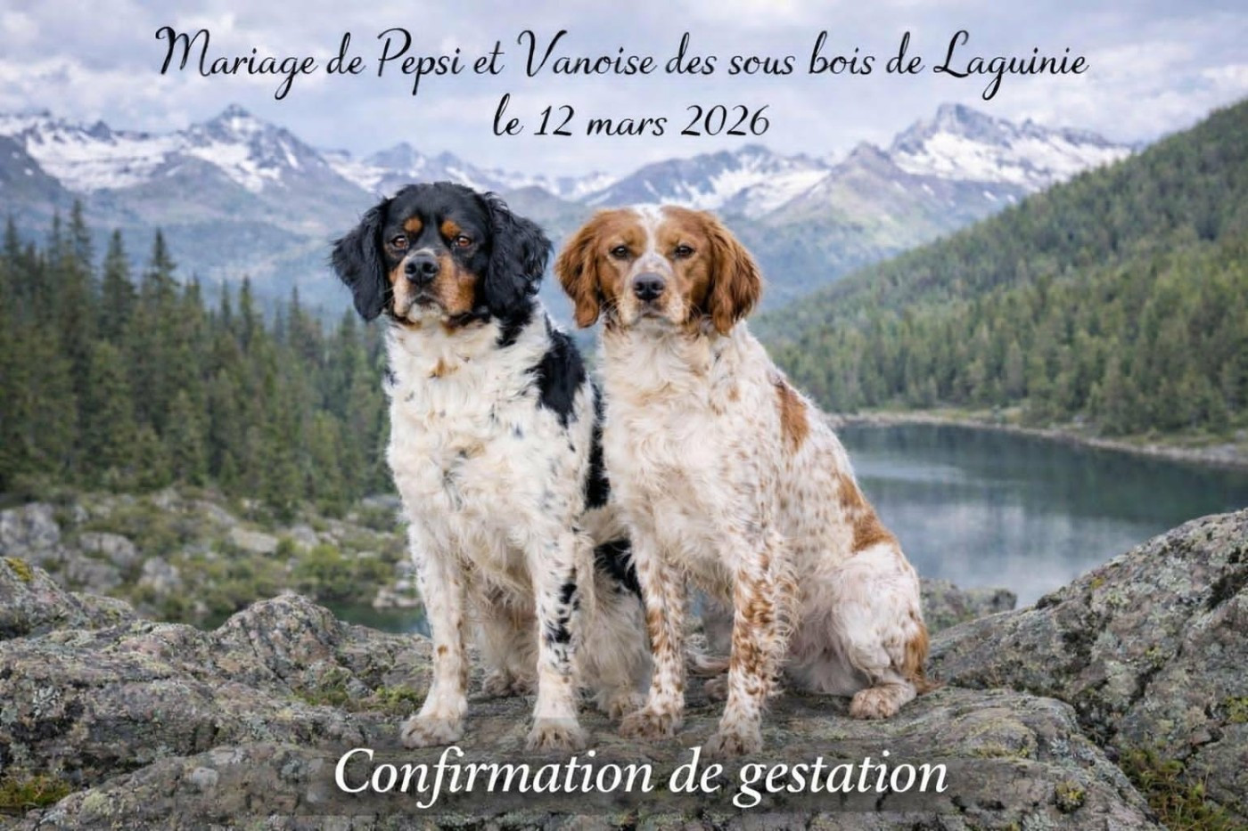 Mariage Vanoise/Pepsi