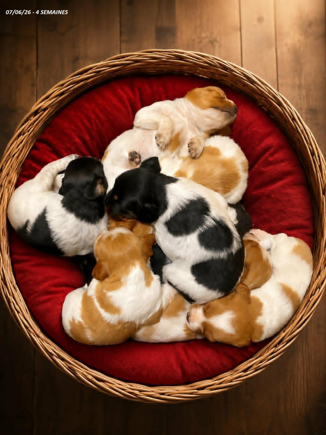 1 mois bientôt pour les bébés de VANOISE