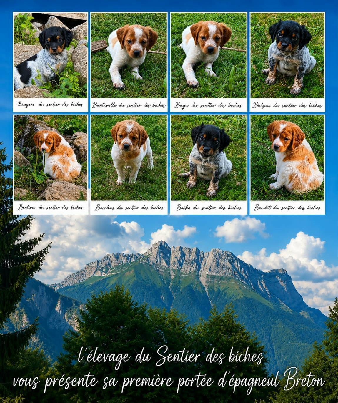 2 mois bientôt pour les bébés de VANOISE